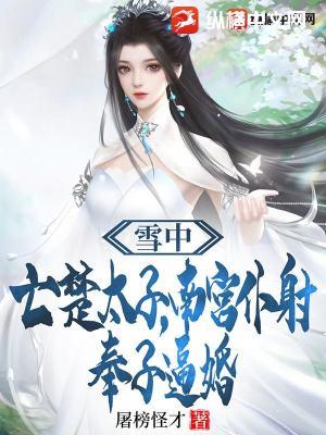 雪中：亡楚太子，南宫仆射奉子逼婚